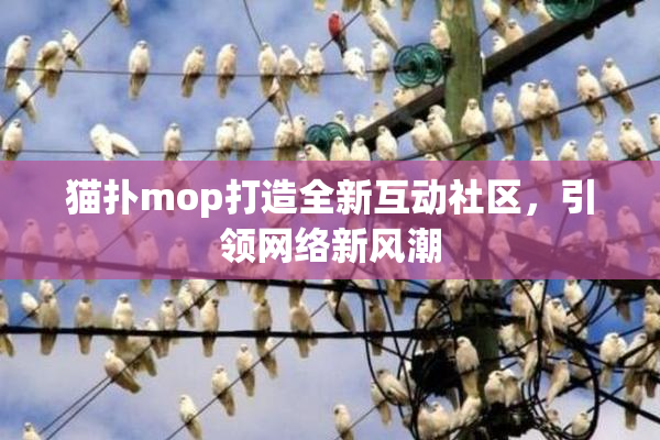 猫扑mop打造全新互动社区，引领网络新风潮
