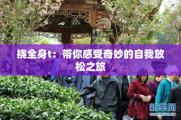 挠全身t：带你感受奇妙的自我放松之旅