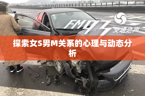 探索女S男M关系的心理与动态分析