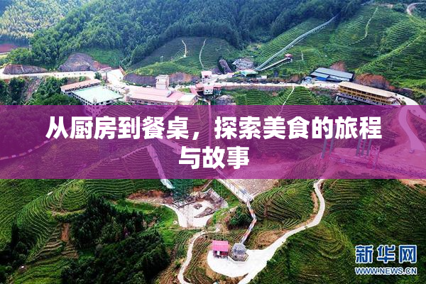从厨房到餐桌，探索美食的旅程与故事