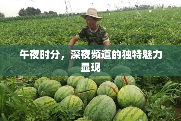 午夜时分，深夜频道的独特魅力显现
