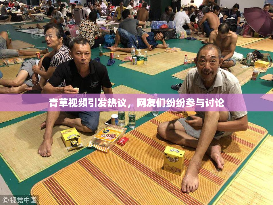 青草视频引发热议，网友们纷纷参与讨论