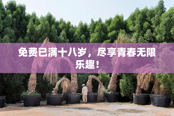 免费已满十八岁，尽享青春无限乐趣！