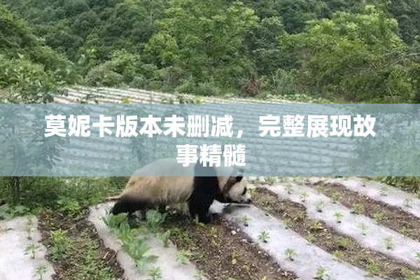 莫妮卡版本未删减，完整展现故事精髓