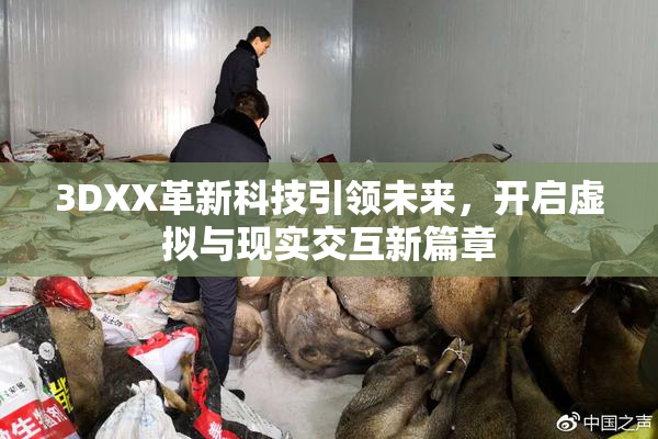 3DXX革新科技引领未来，开启虚拟与现实交互新篇章