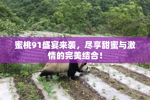 蜜桃91盛宴来袭，尽享甜蜜与激情的完美结合！