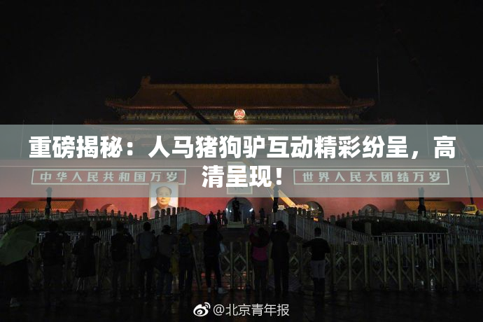 重磅揭秘：人马猪狗驴互动精彩纷呈，高清呈现！