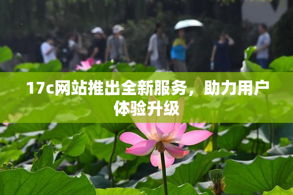 17c网站推出全新服务，助力用户体验升级