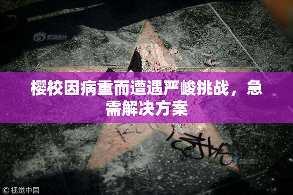 樱校因病重而遭遇严峻挑战，急需解决方案