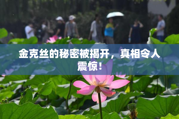 金克丝的秘密被揭开，真相令人震惊！
