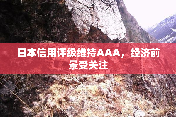 日本信用评级维持AAA，经济前景受关注