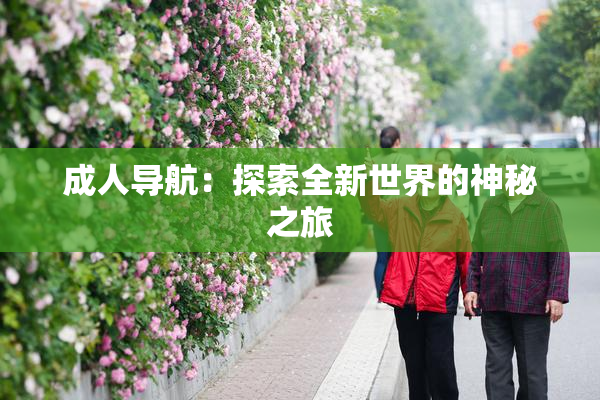 成人导航：探索全新世界的神秘之旅