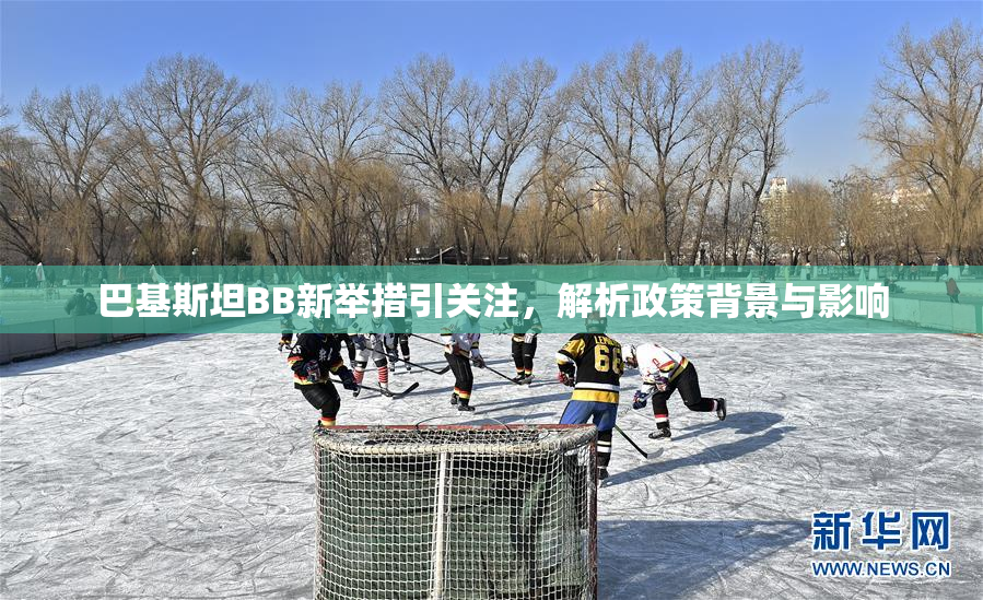 巴基斯坦BB新举措引关注，解析政策背景与影响