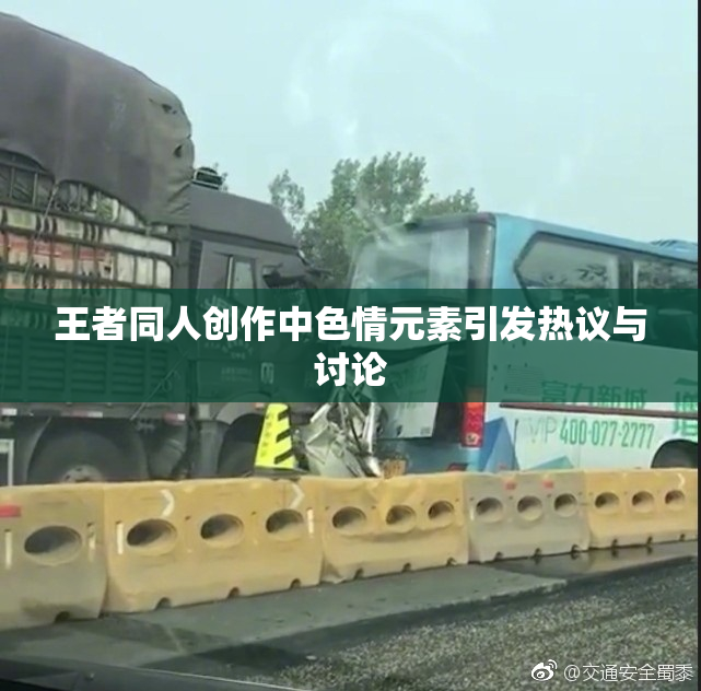 王者同人创作中色情元素引发热议与讨论
