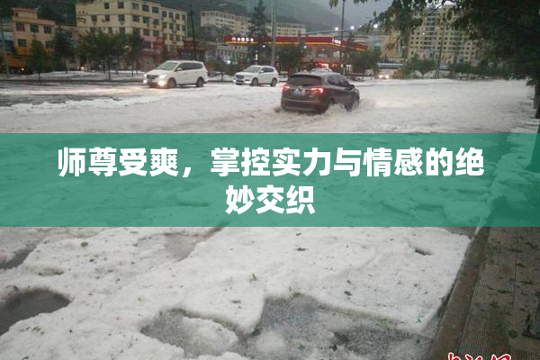 师尊受爽，掌控实力与情感的绝妙交织