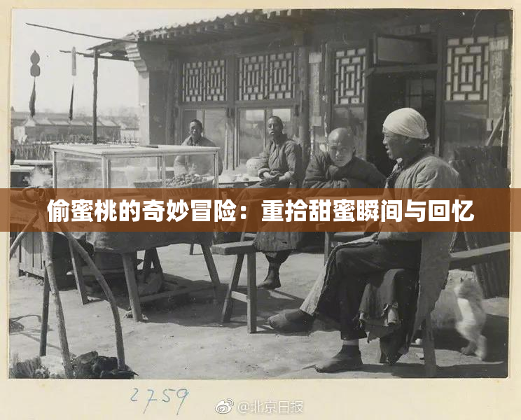偷蜜桃的奇妙冒险：重拾甜蜜瞬间与回忆