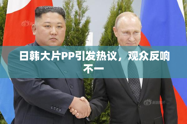 日韩大片PP引发热议，观众反响不一