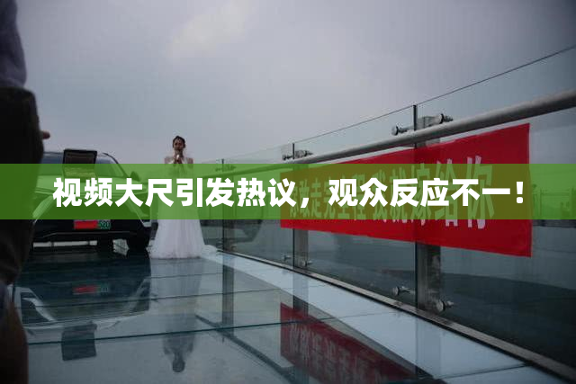 视频大尺引发热议，观众反应不一！