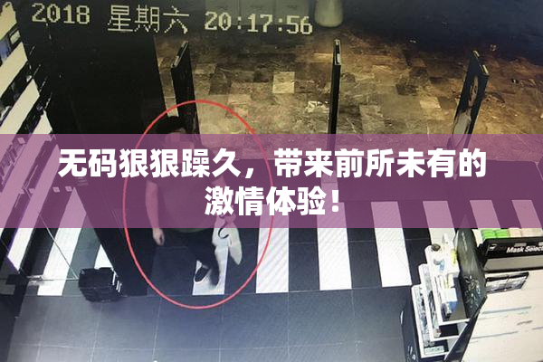 无码狠狠躁久，带来前所未有的激情体验！