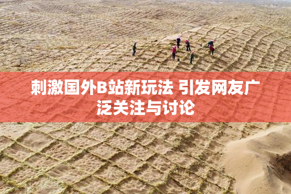 刺激国外B站新玩法 引发网友广泛关注与讨论