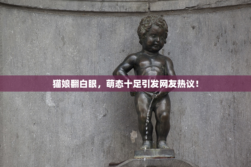 猫娘翻白眼，萌态十足引发网友热议！