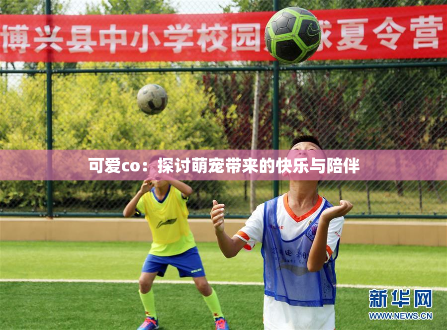 可爱co：探讨萌宠带来的快乐与陪伴