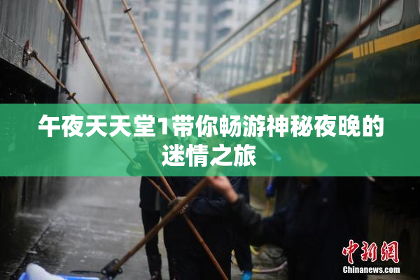 午夜天天堂1带你畅游神秘夜晚的迷情之旅