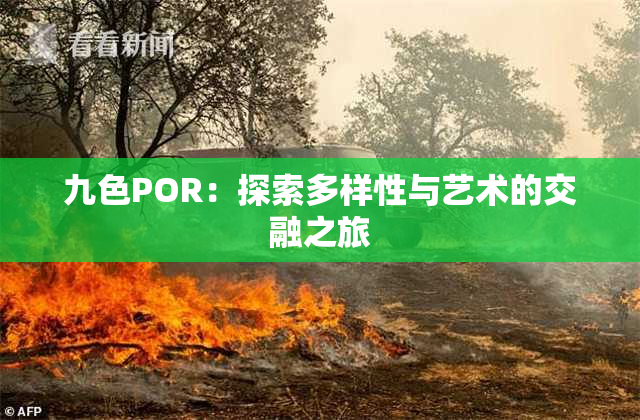 九色POR：探索多样性与艺术的交融之旅