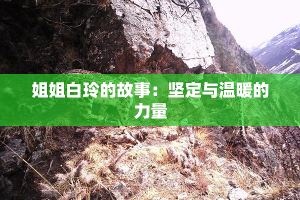 姐姐白玲的故事：坚定与温暖的力量
