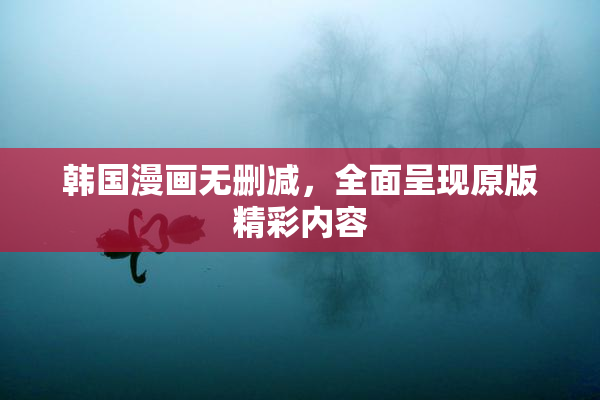 韩国漫画无删减，全面呈现原版精彩内容