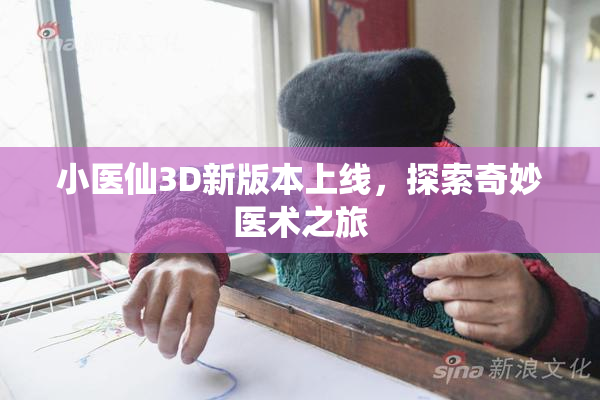 小医仙3D新版本上线，探索奇妙医术之旅