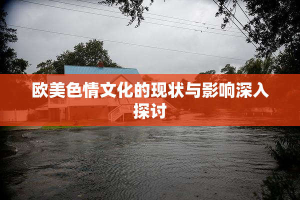 欧美色情文化的现状与影响深入探讨