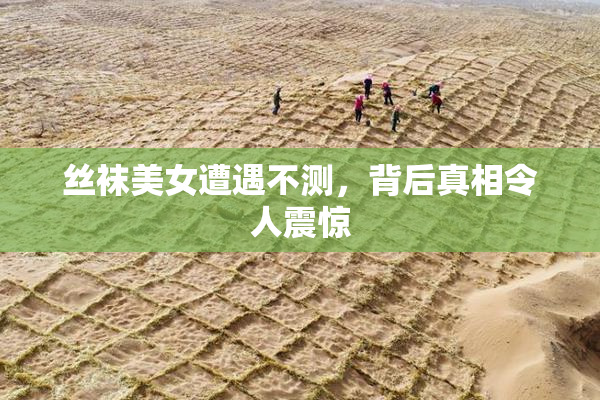 丝袜美女遭遇不测，背后真相令人震惊