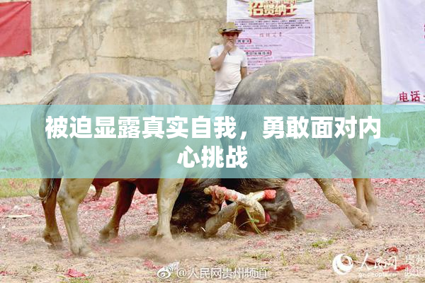 被迫显露真实自我，勇敢面对内心挑战