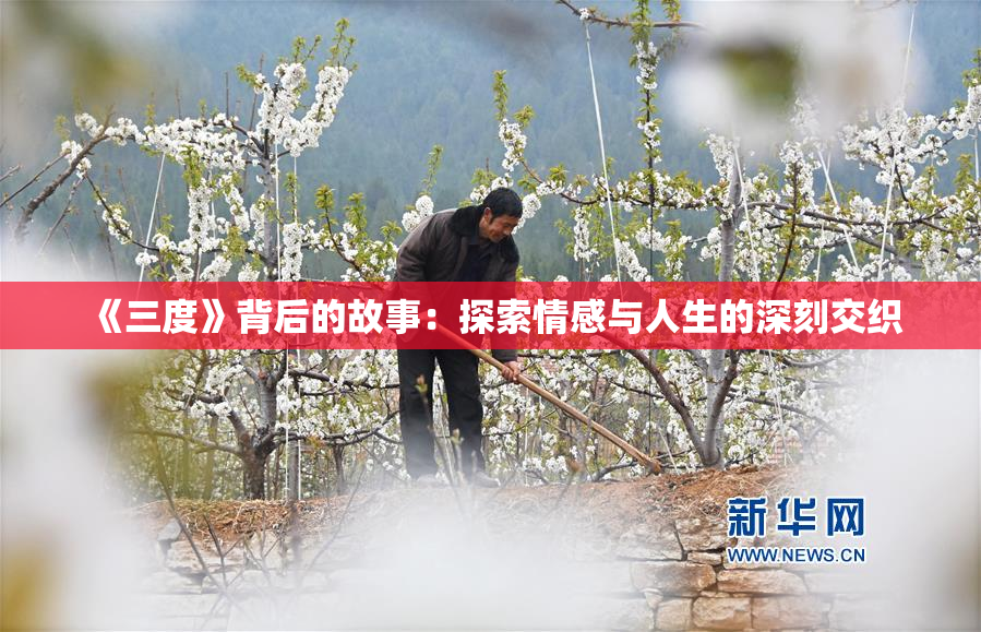 《三度》背后的故事：探索情感与人生的深刻交织