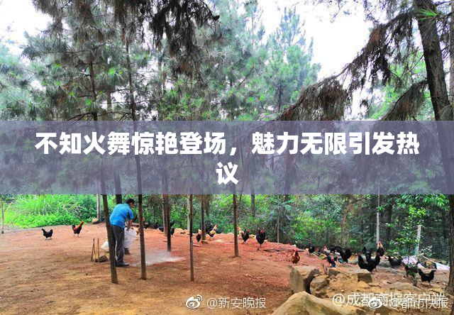 不知火舞惊艳登场，魅力无限引发热议