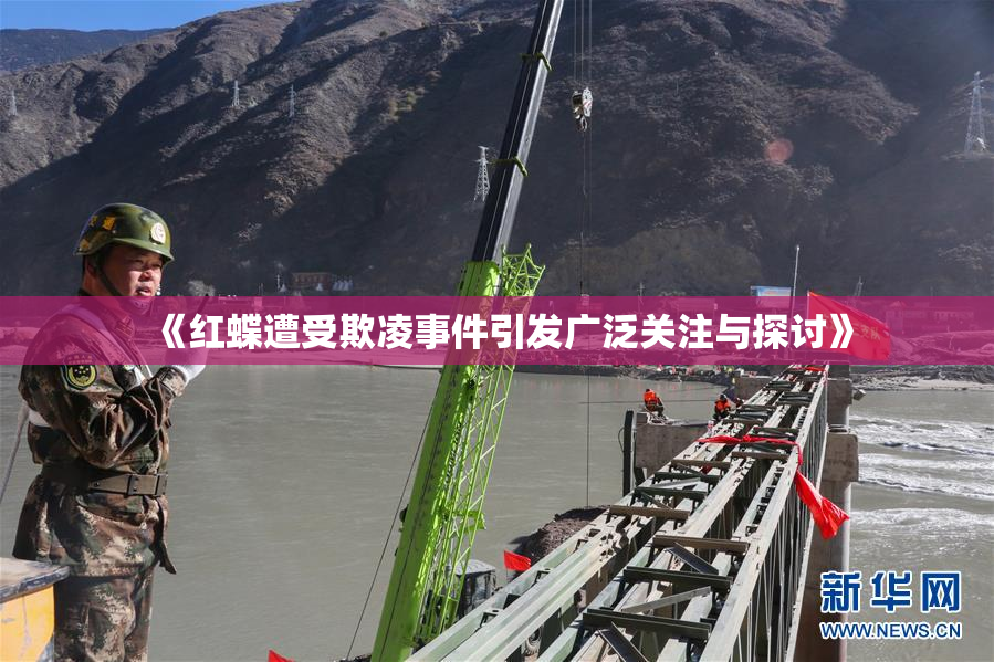 《红蝶遭受欺凌事件引发广泛关注与探讨》