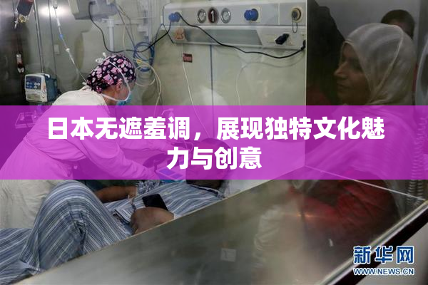 日本无遮羞调，展现独特文化魅力与创意