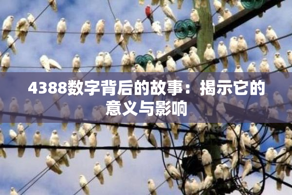 4388数字背后的故事：揭示它的意义与影响