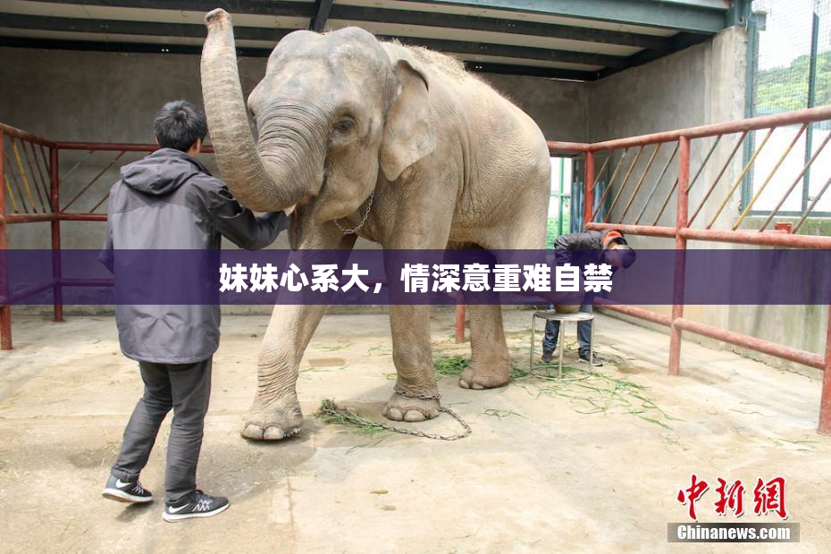 妹妹心系大，情深意重难自禁