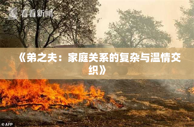 《弟之夫：家庭关系的复杂与温情交织》
