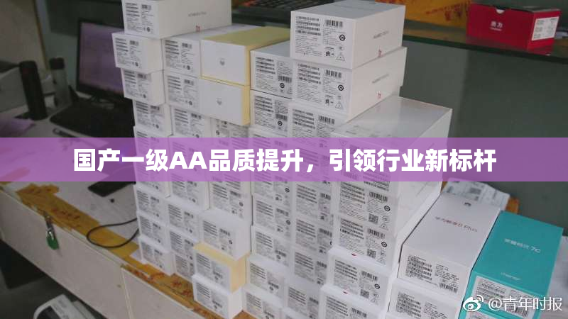 国产一级AA品质提升，引领行业新标杆