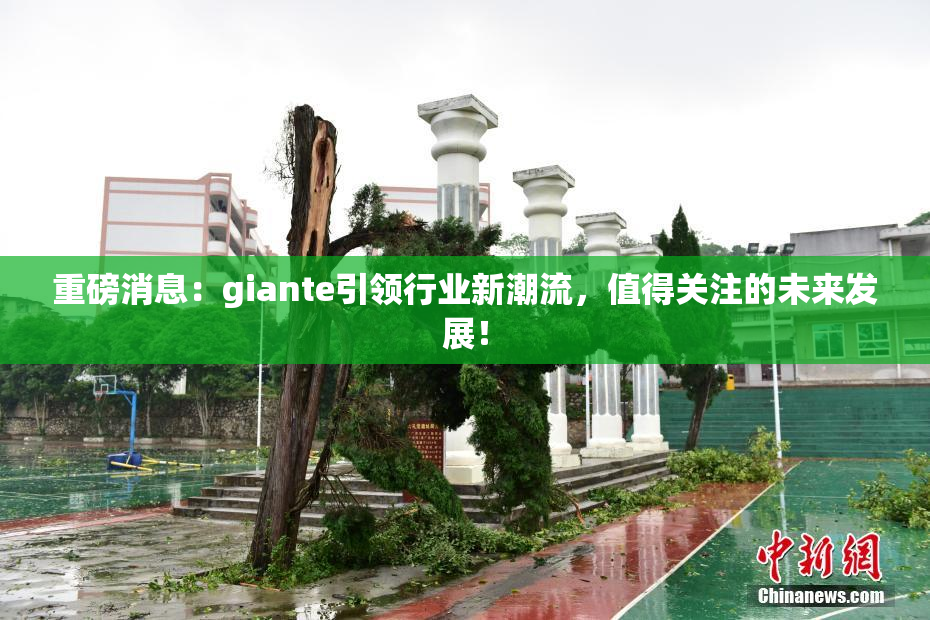 重磅消息：giante引领行业新潮流，值得关注的未来发展！