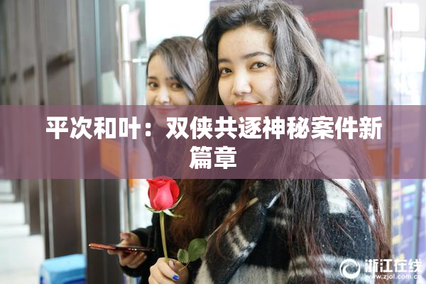 平次和叶：双侠共逐神秘案件新篇章