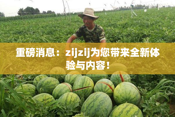重磅消息：zijzij为您带来全新体验与内容！