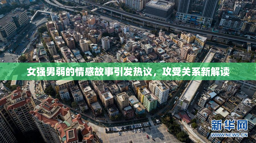 女强男弱的情感故事引发热议，攻受关系新解读