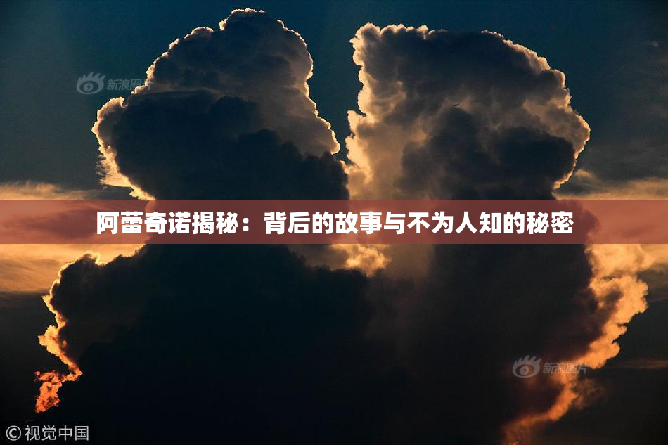 阿蕾奇诺揭秘：背后的故事与不为人知的秘密
