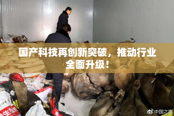 国产科技再创新突破，推动行业全面升级！