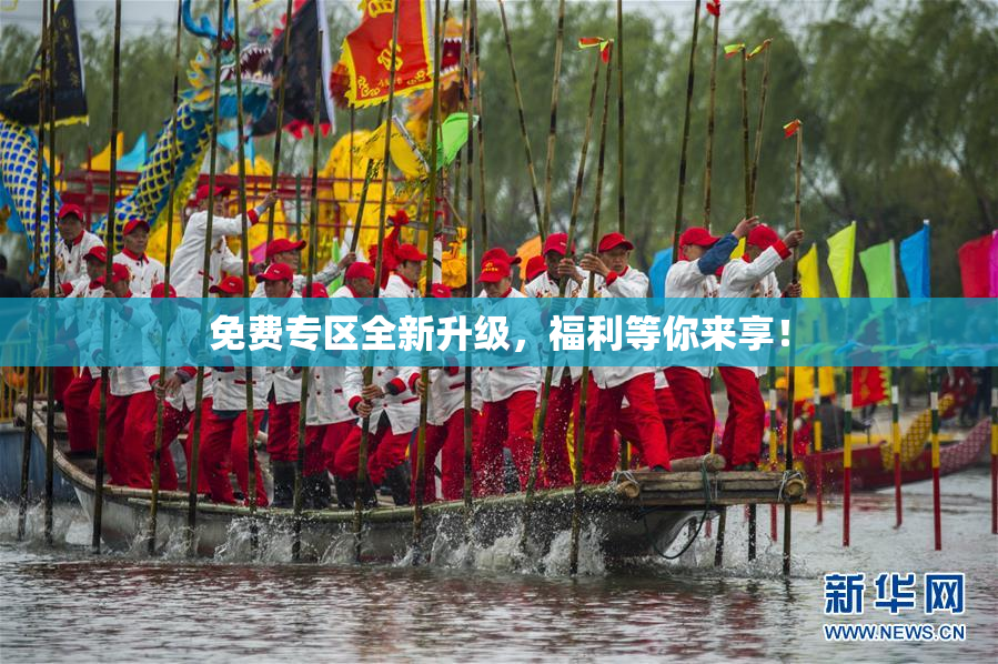 免费专区全新升级，福利等你来享！