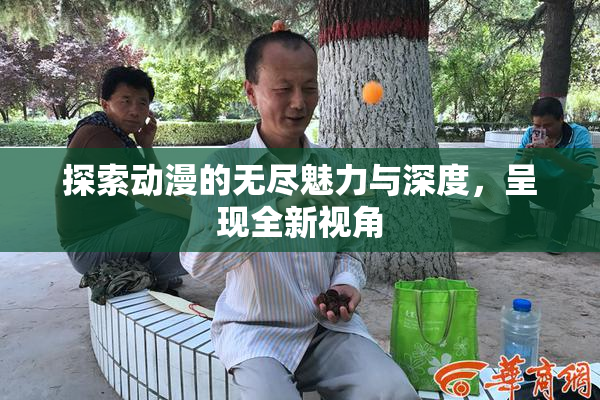 探索动漫的无尽魅力与深度，呈现全新视角